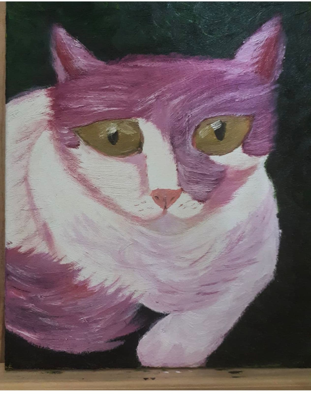 Mi gatito Glenn