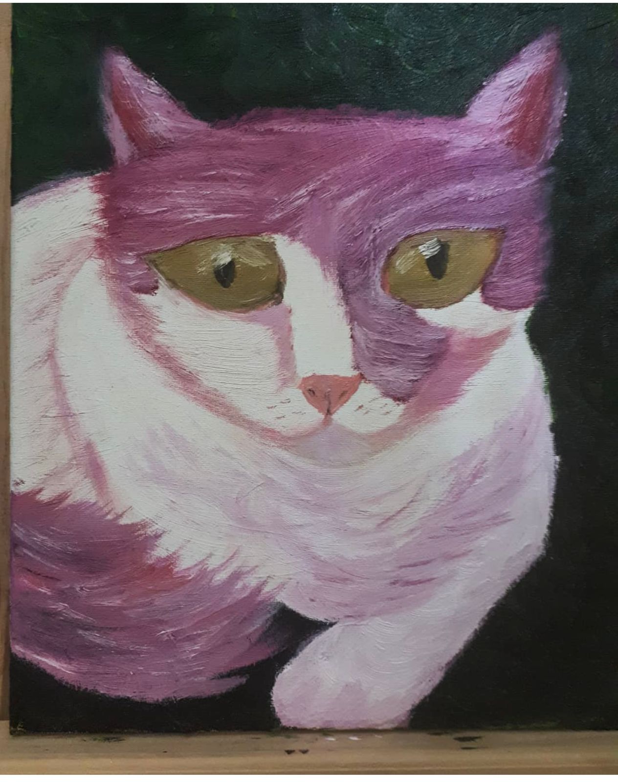 Mi gatito Glenn