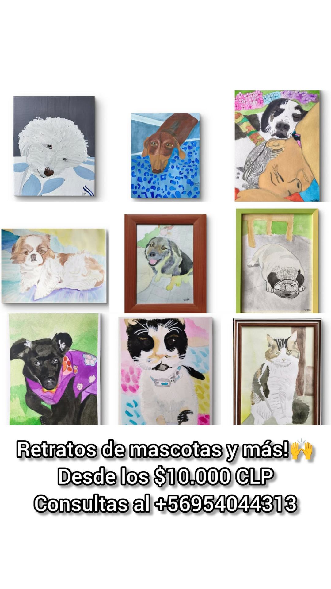 Retratos de mascotas y más