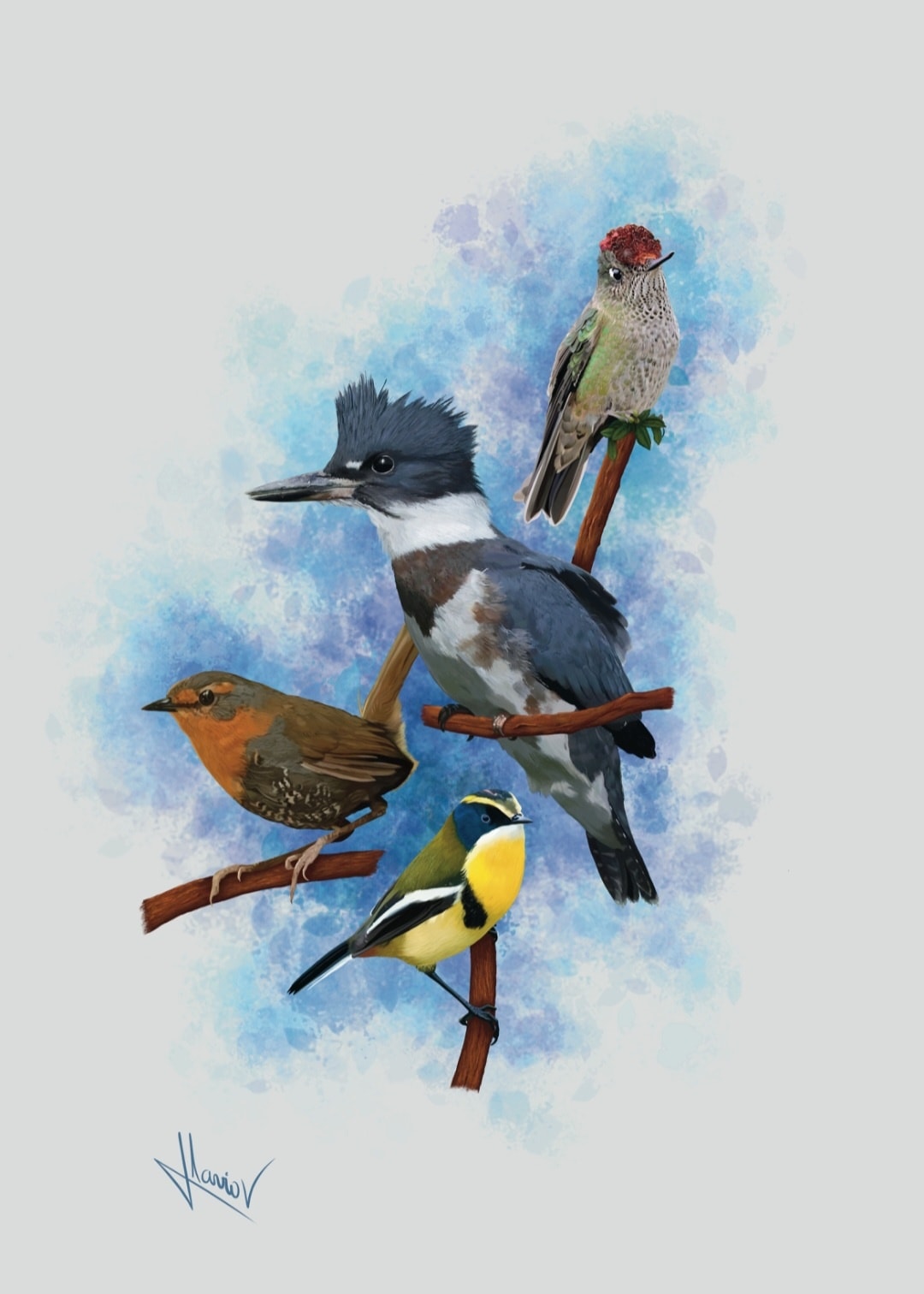 Plumas Silvestres