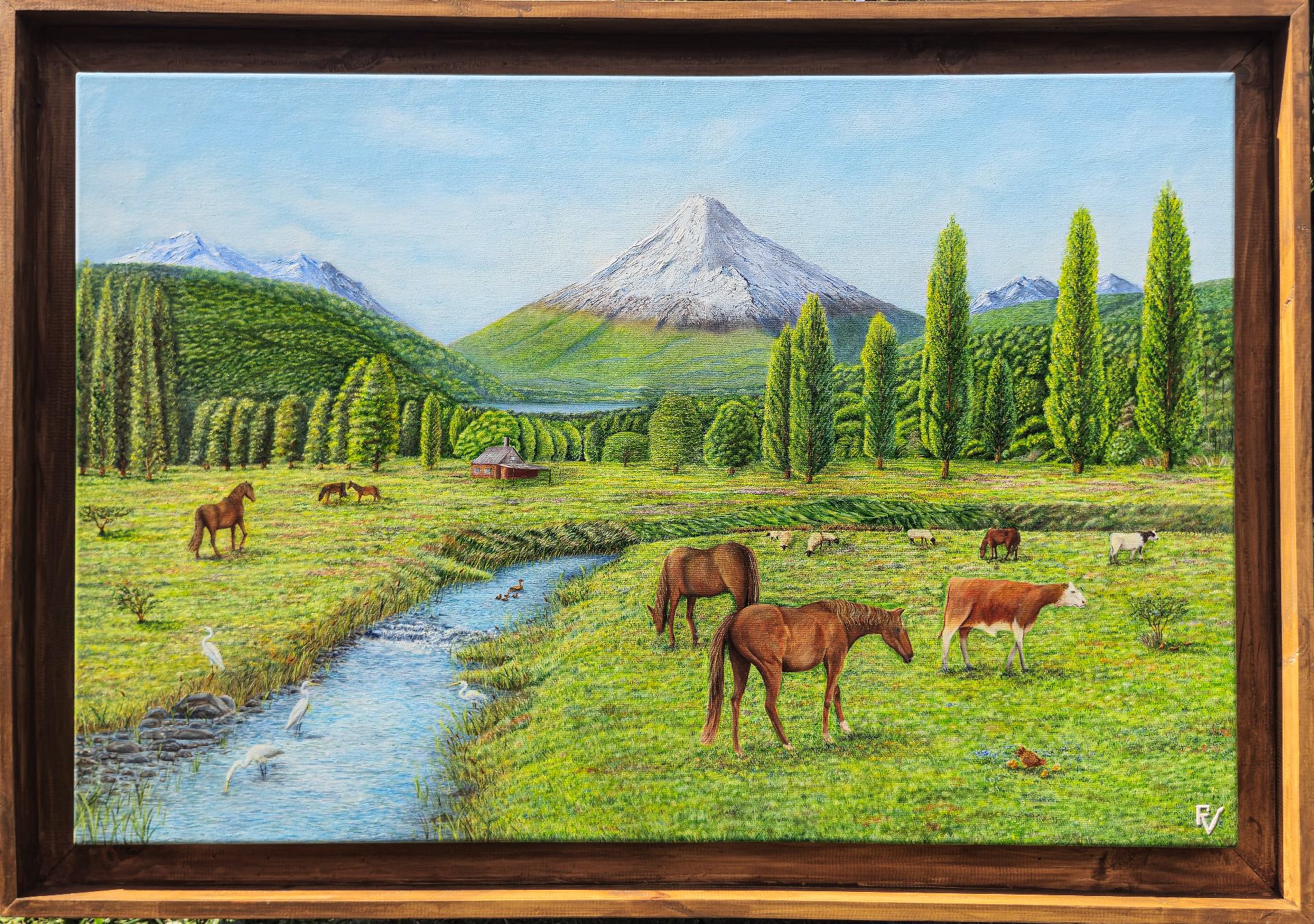Campo chileno