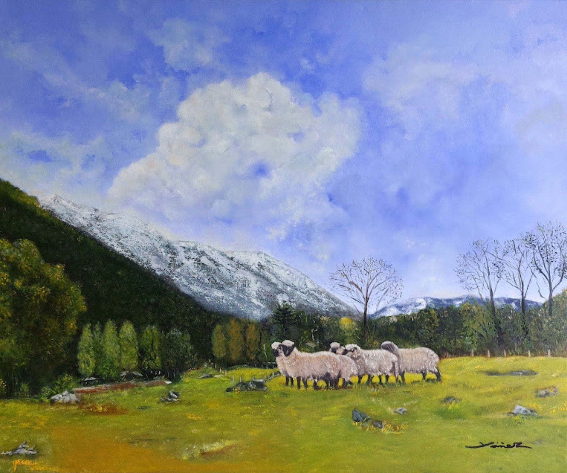 Rebaño en el Valle de Pemehue