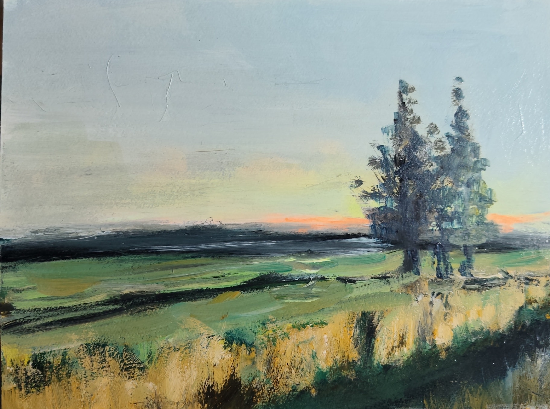 Paisaje Campestre